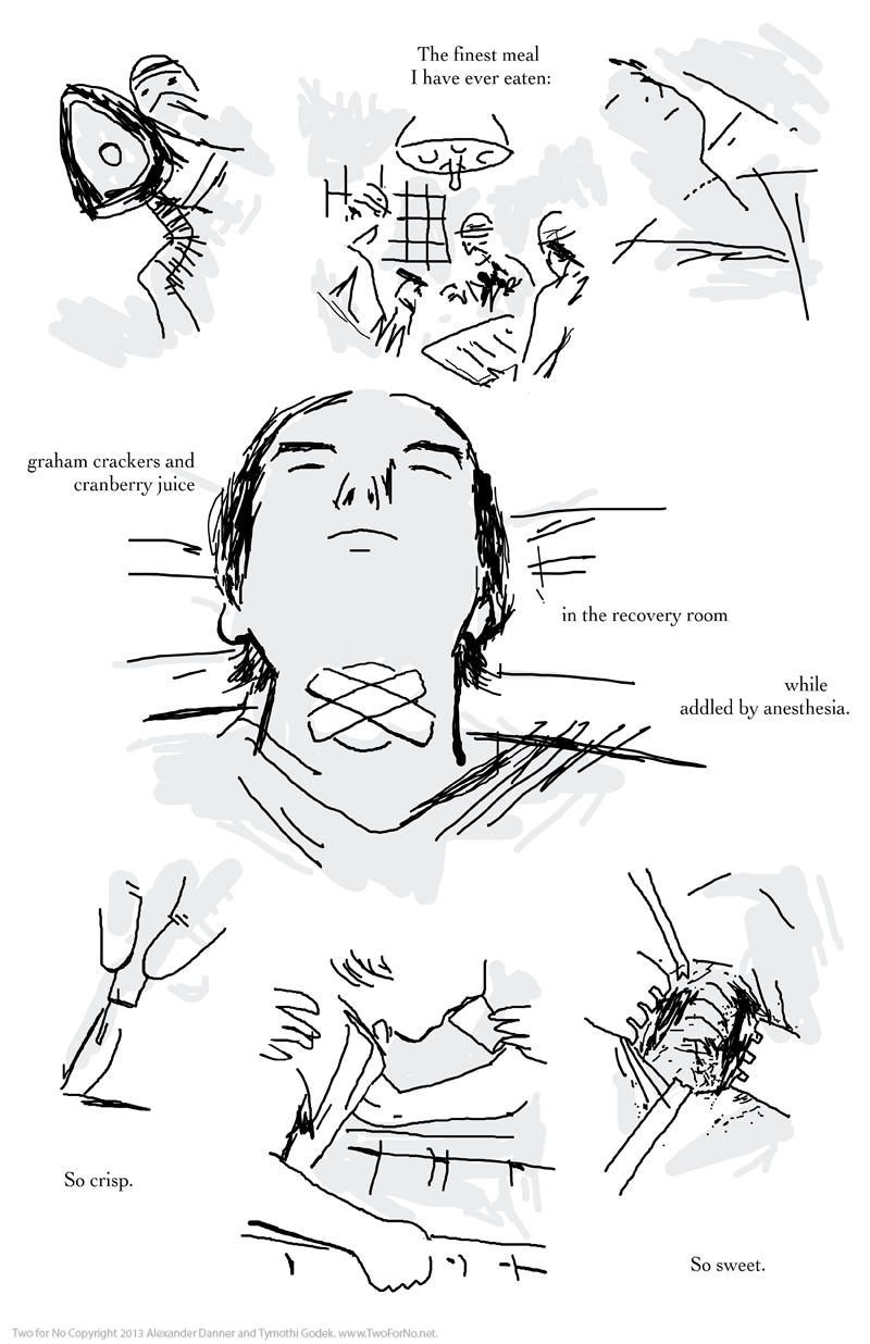 Two for No, by Alexander Danner and Tymothi Godek